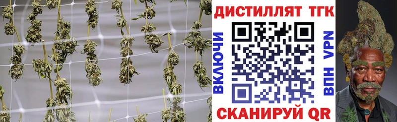 ТГК концентрат  Краснодар 